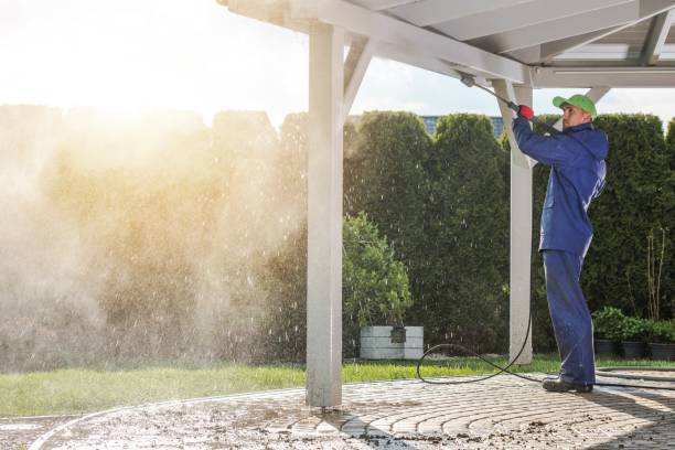 Best Sidewalk and Walkway Cleaning  in Lake Helen, FL