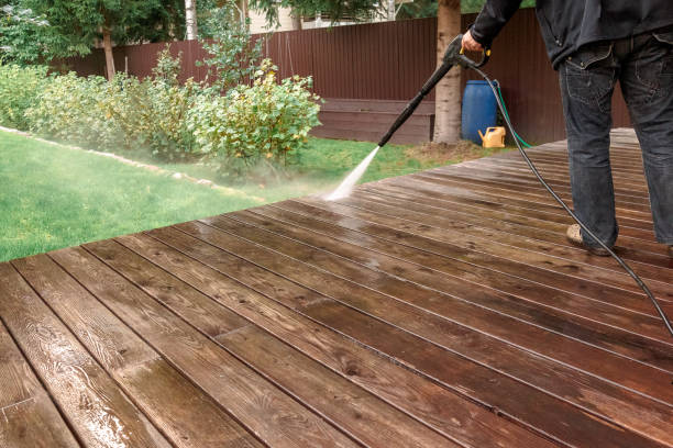 Best Soft Washing  in Lake Helen, FL