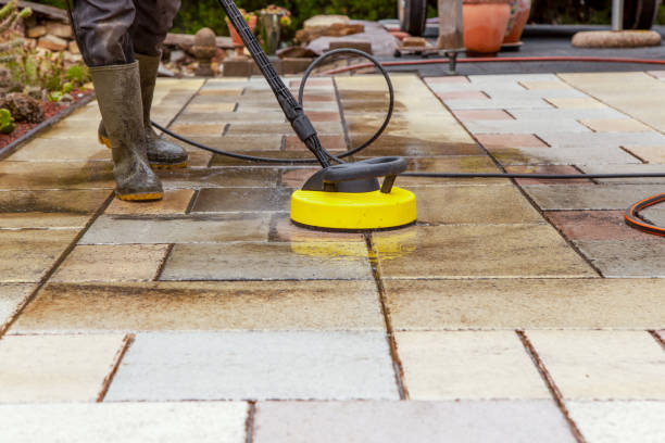Best Animal Enclosure Cleaning  in Lake Helen, FL